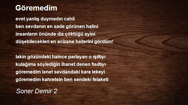 Soner Demir 2