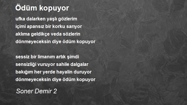 Soner Demir 2