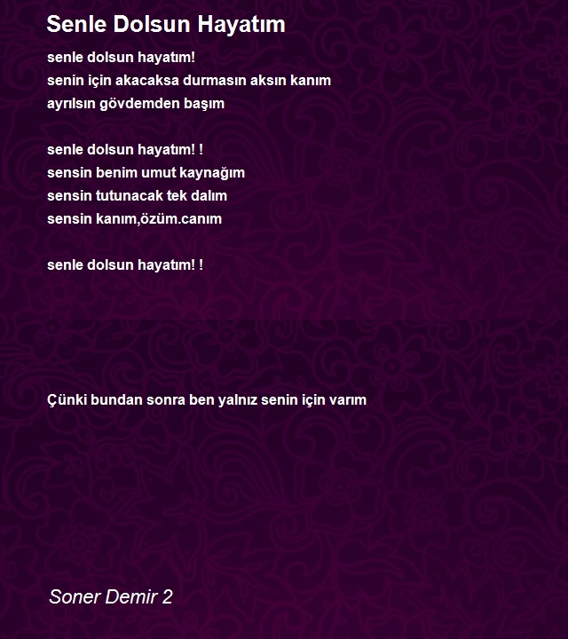 Soner Demir 2