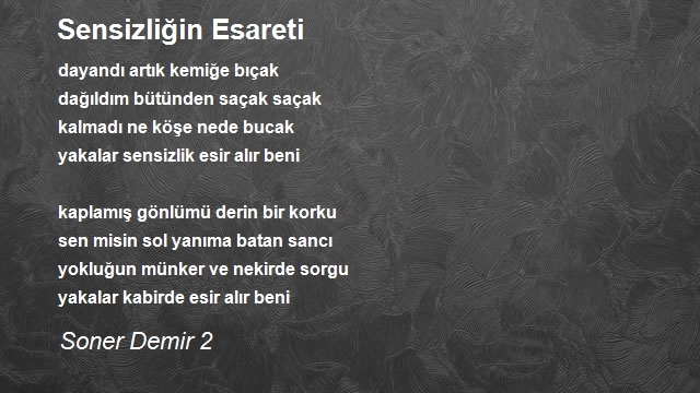 Soner Demir 2