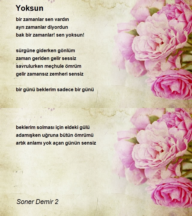 Soner Demir 2