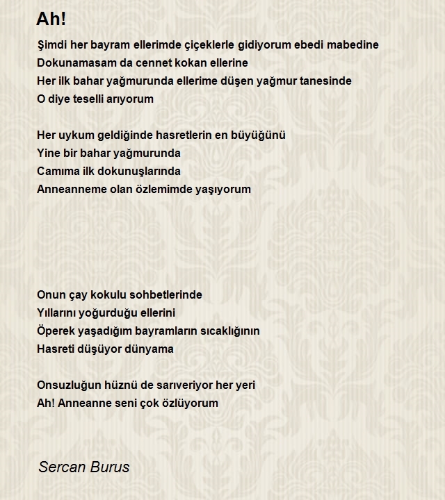 Sercan Burus