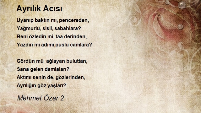 Mehmet Özer 2