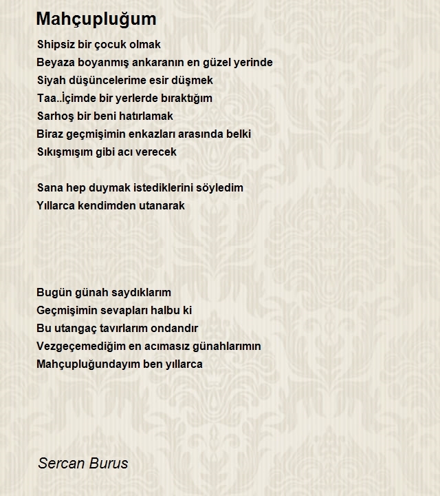 Sercan Burus