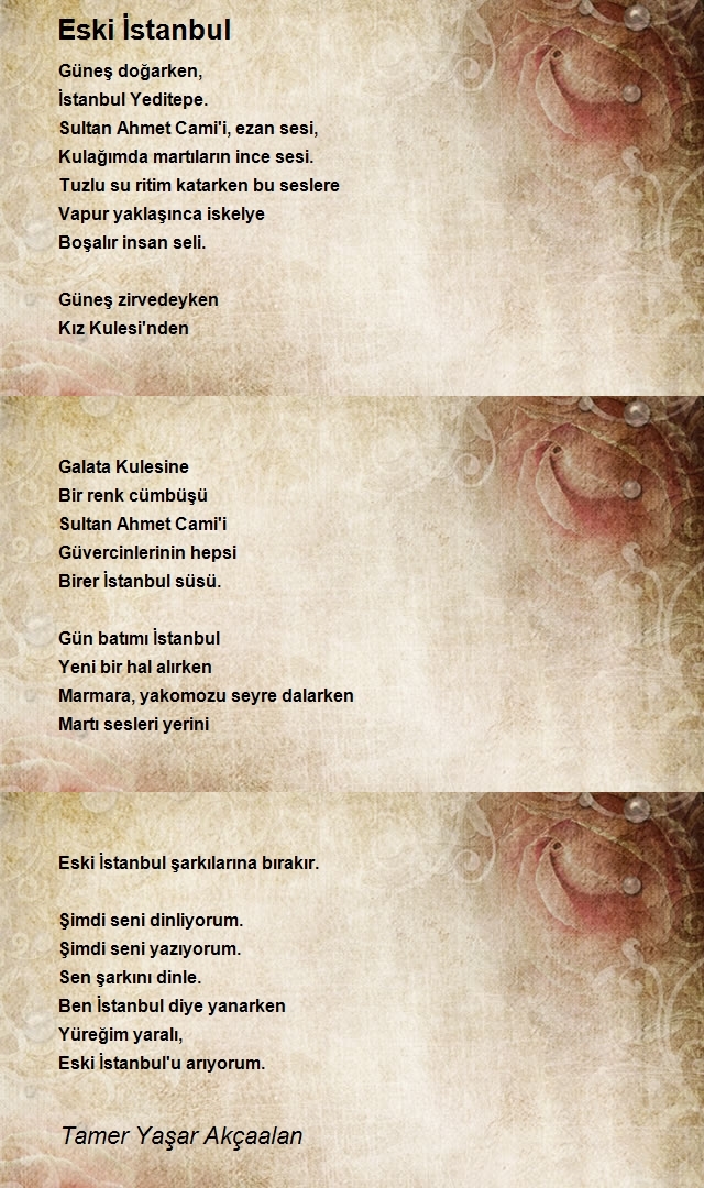 Tamer Yaşar Akçaalan