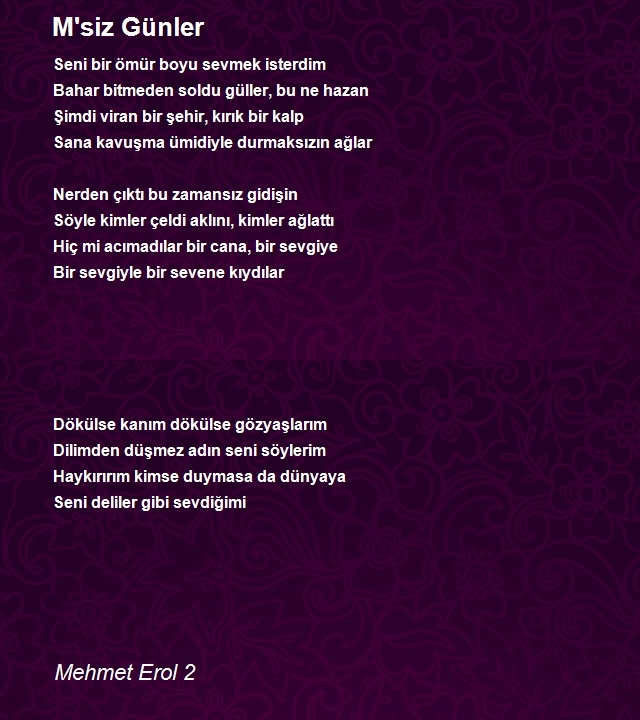 Mehmet Erol 2