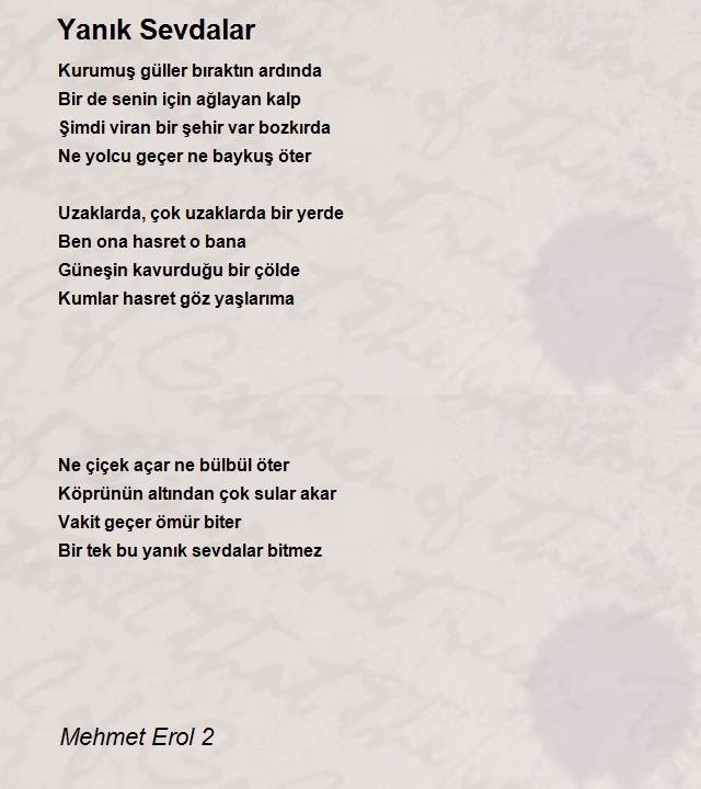 Mehmet Erol 2