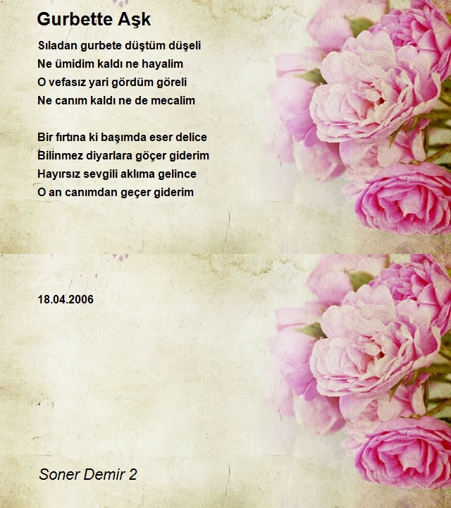 Soner Demir 2