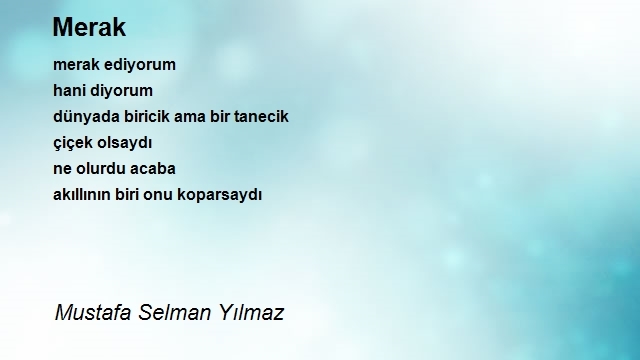 Mustafa Selman Yılmaz