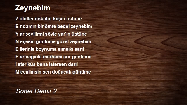 Soner Demir 2