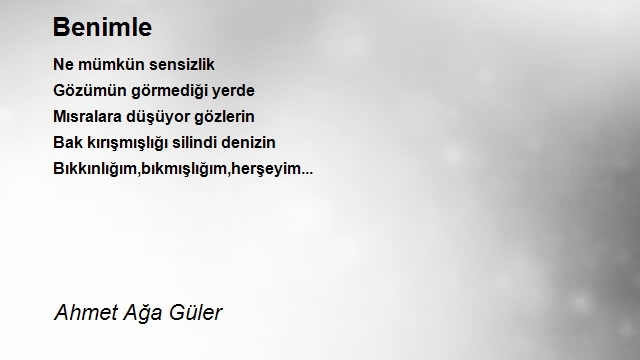 Ahmet Ağa Güler