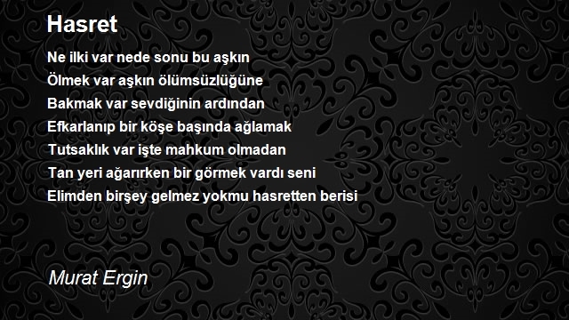 Murat Ergin