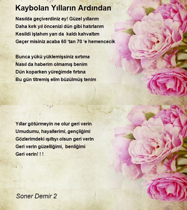 Soner Demir 2