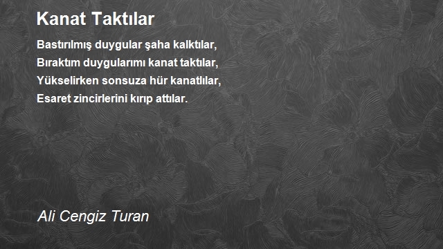 Ali Cengiz Turan