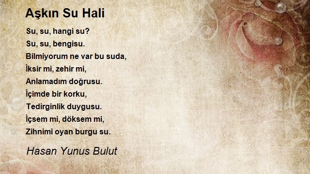 Hasan Yunus Bulut