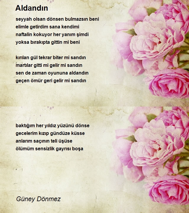 Güney Dönmez