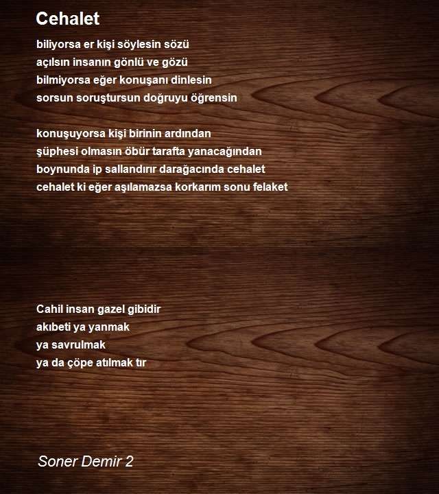 Soner Demir 2