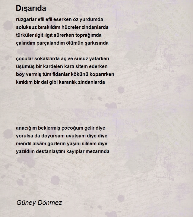 Güney Dönmez