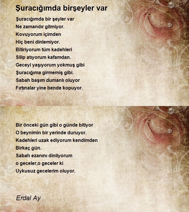 Erdal Ay