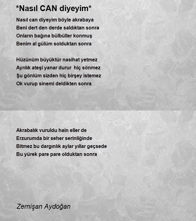 Zernişan Aydoğan