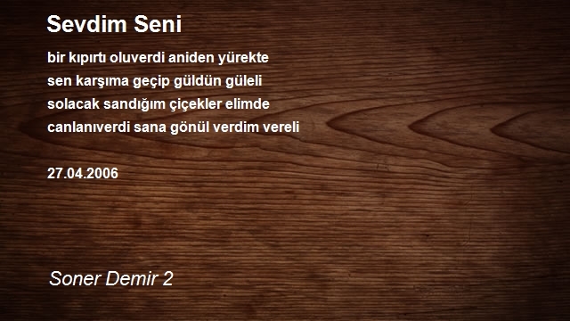 Soner Demir 2