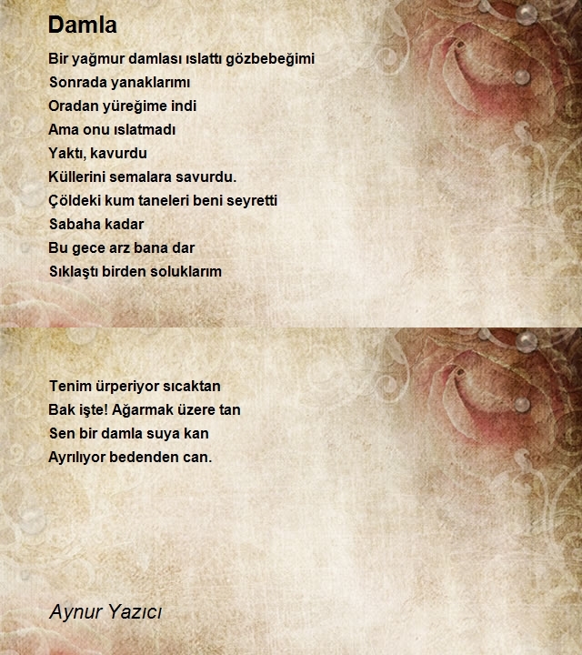 Aynur Yazıcı