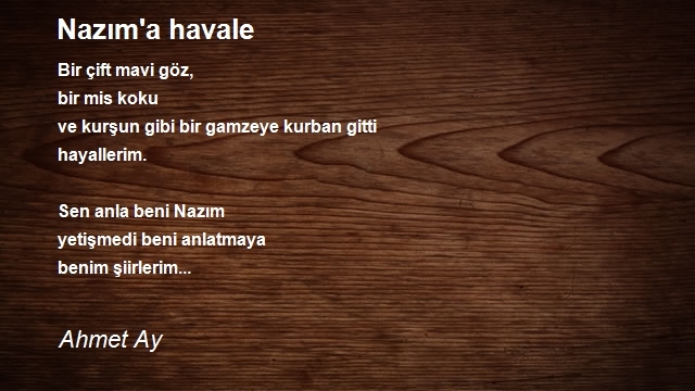 Ahmet Ay