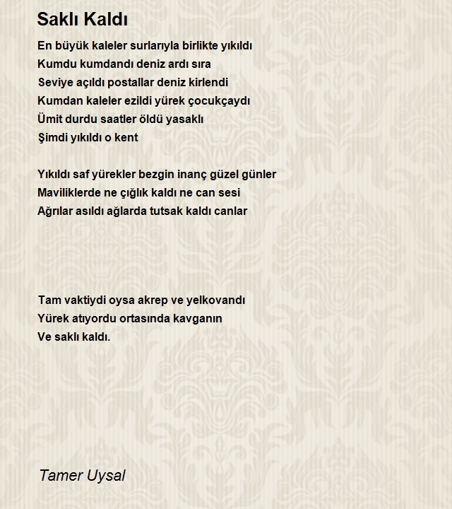 Tamer Uysal