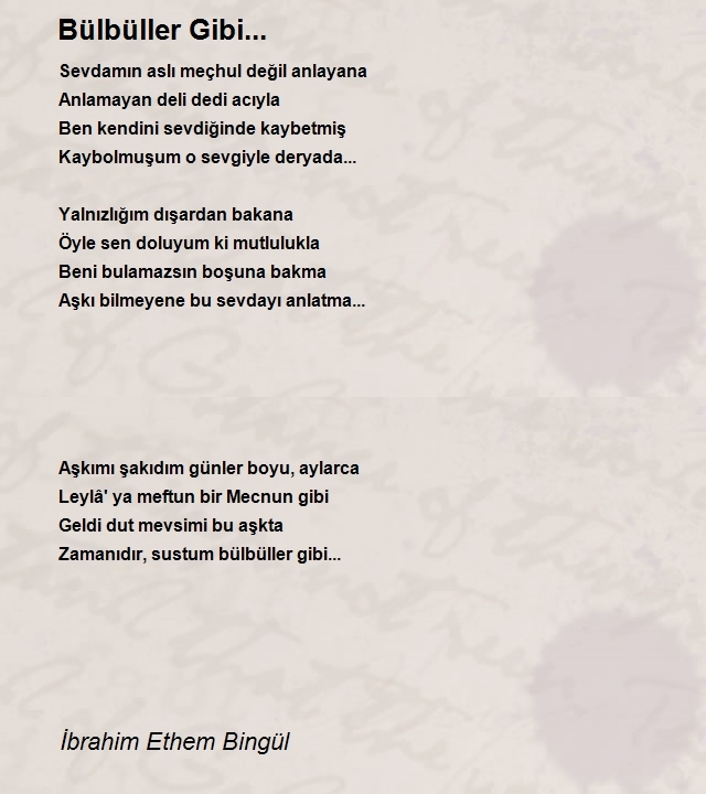 İbrahim Ethem Bingül