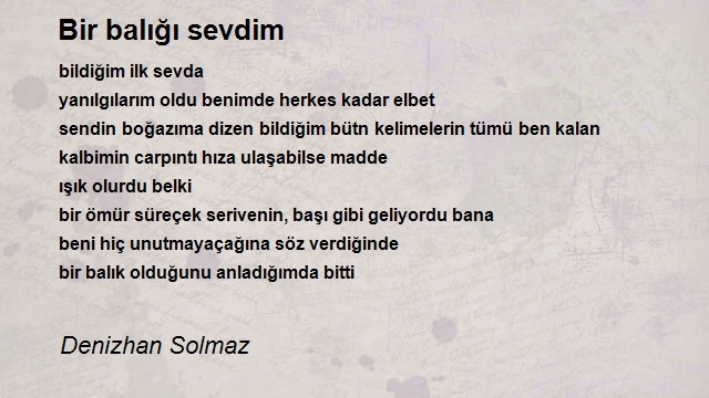 Denizhan Solmaz