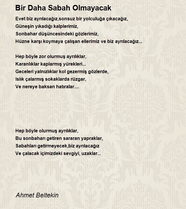 Ahmet Beltekin