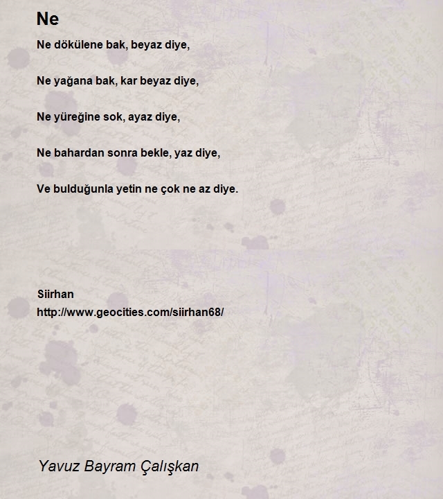 Yavuz Bayram Çalışkan