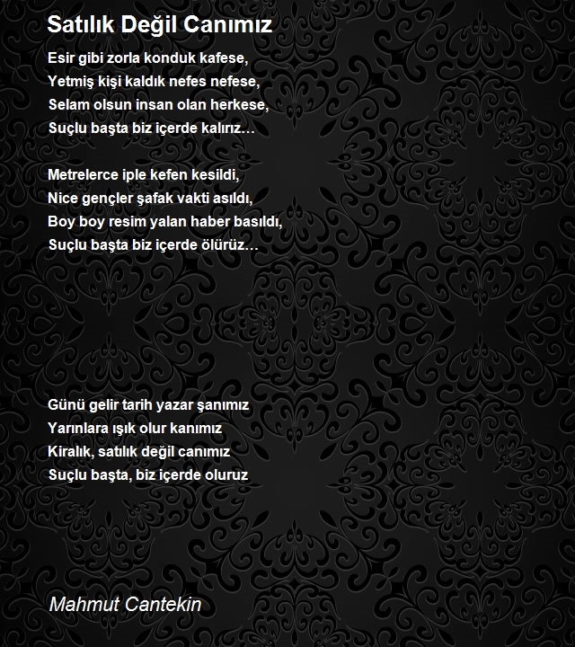 Mahmut Cantekin