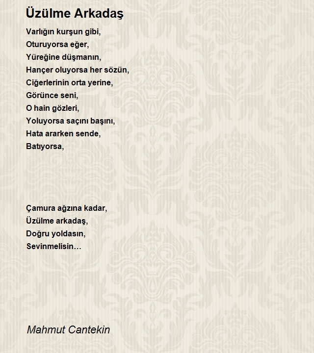 Mahmut Cantekin