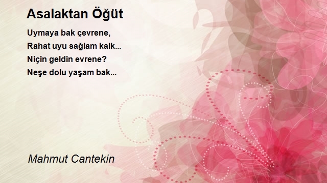 Mahmut Cantekin