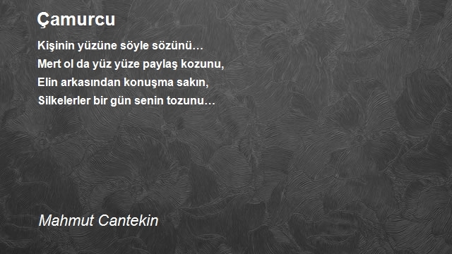 Mahmut Cantekin