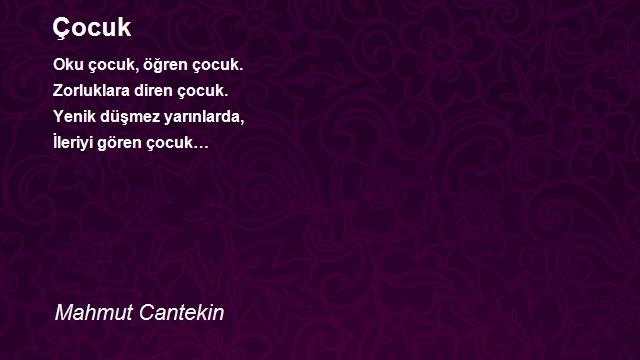 Mahmut Cantekin