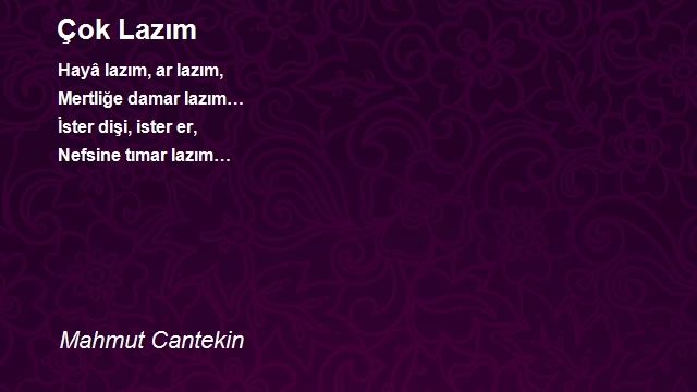 Mahmut Cantekin