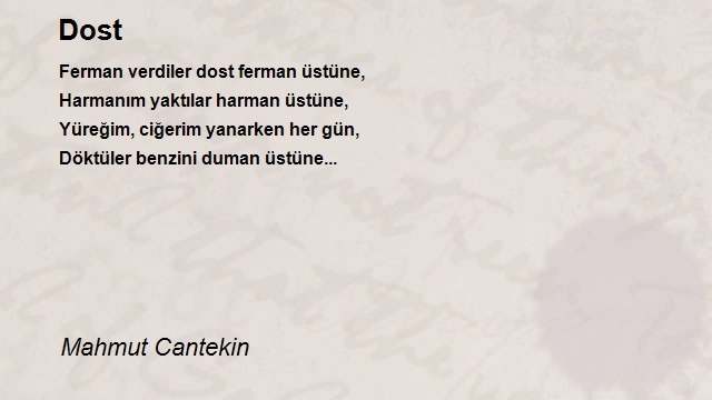 Mahmut Cantekin