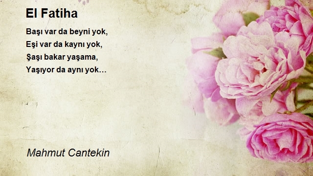 Mahmut Cantekin