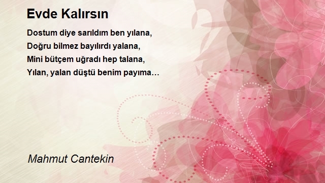 Mahmut Cantekin