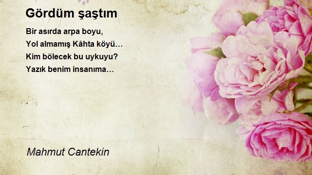 Mahmut Cantekin