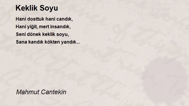 Mahmut Cantekin