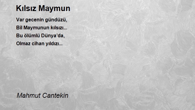 Mahmut Cantekin