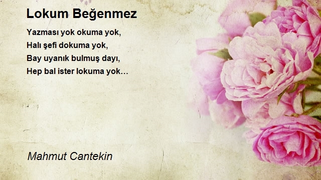 Mahmut Cantekin