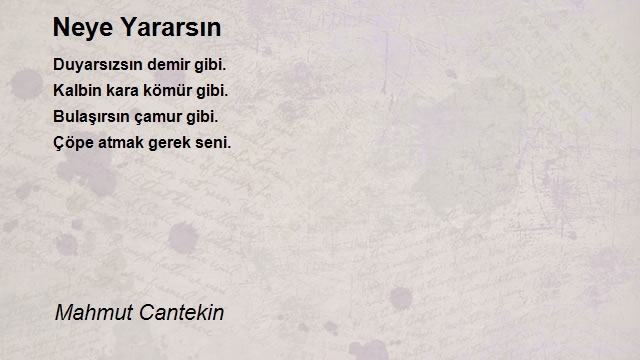 Mahmut Cantekin