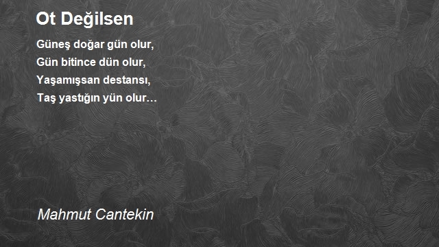 Mahmut Cantekin