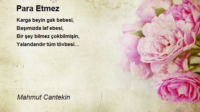 Mahmut Cantekin