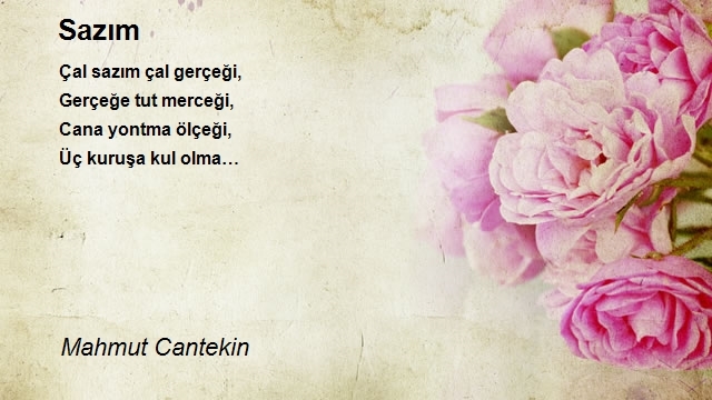 Mahmut Cantekin