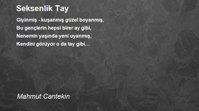 Mahmut Cantekin